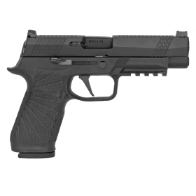 WE - F17 V2 NOIR GAZ - AS-DF