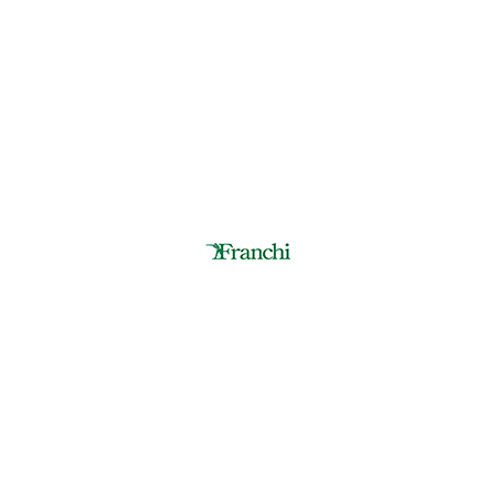 Nos produits pour l'airsoft de la marque Franchi